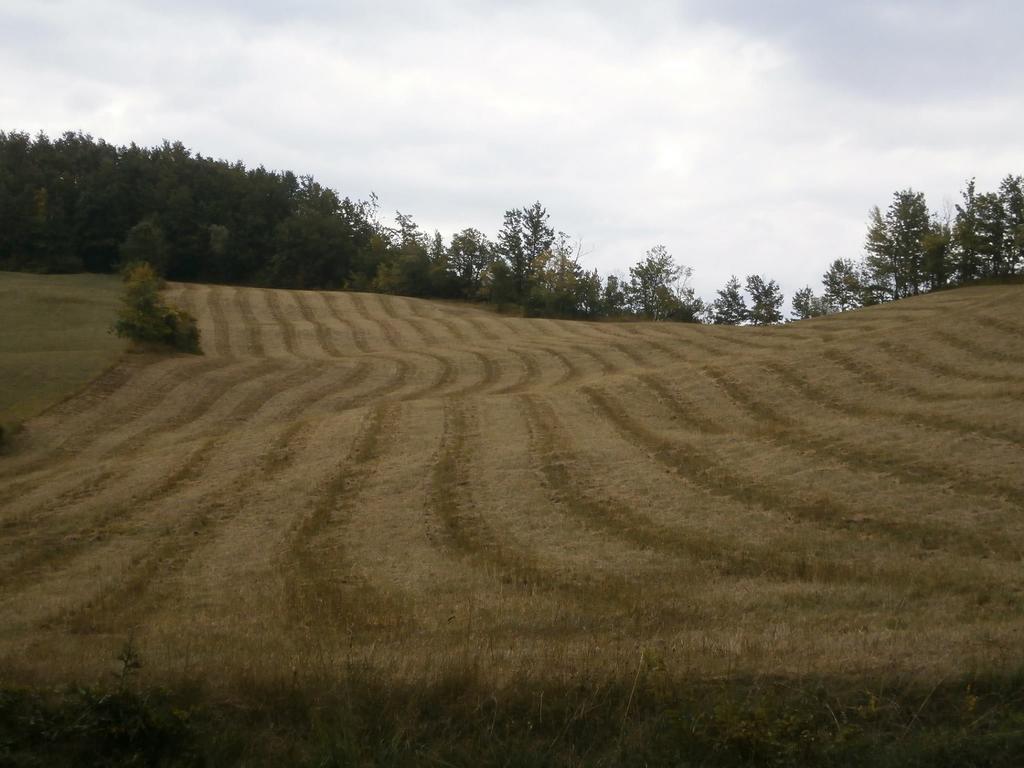 Vila Societa Agricola Cacigolara Borgo Val di Taro Exteriér fotografie