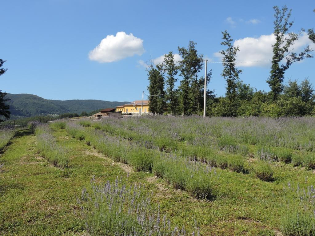 Vila Societa Agricola Cacigolara Borgo Val di Taro Exteriér fotografie